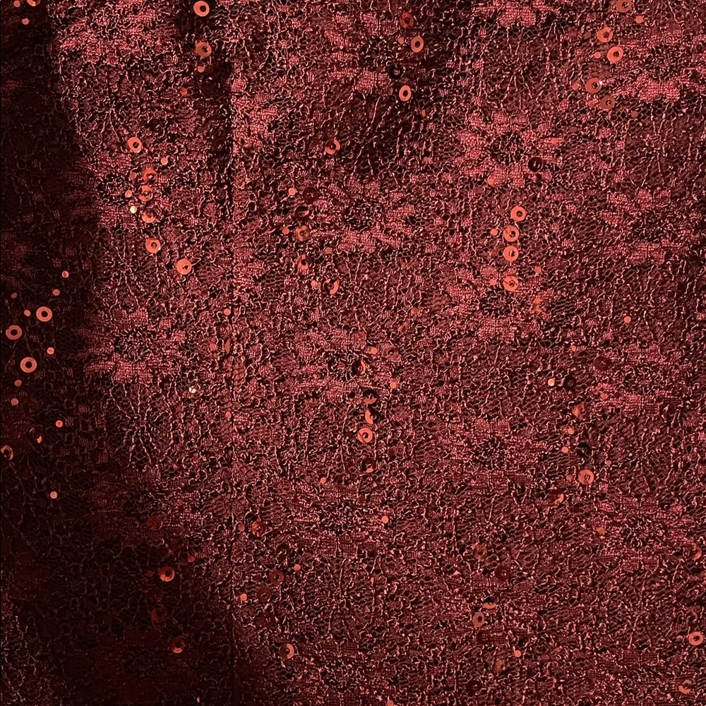 Alex Evenings Burgundy Sequin Lace Mini Dress - Picture 3 of 9